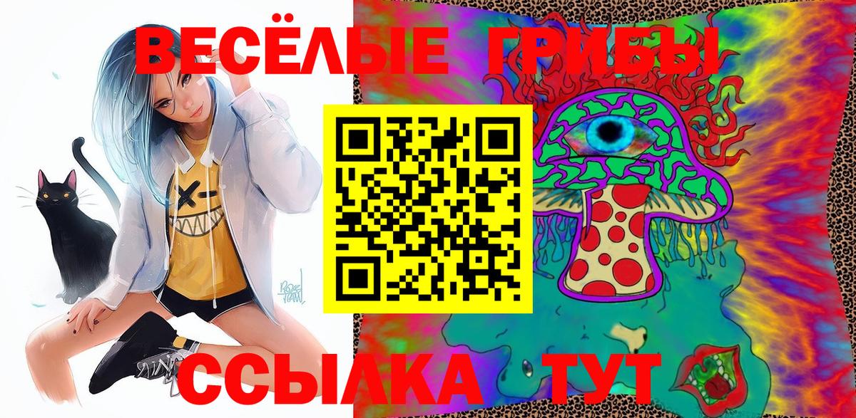 Псилоцибиновые грибы Psilocybine cubensis  Вход с VPN  Псилоцибиновые грибы Psilocybine cubensis  Вышний Волочёк 